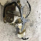 Serrure avant gauche TOYOTA YARIS 1