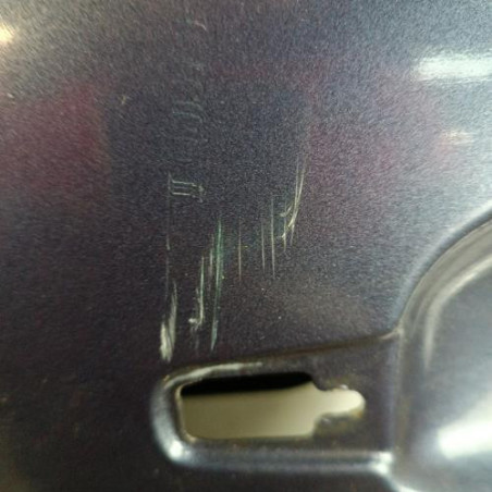 Porte avant gauche CITROEN C4 PICASSO 1