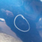 Porte arriere gauche RENAULT CLIO 3