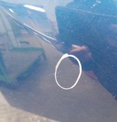 Porte arriere gauche RENAULT CLIO 3 Photo n°8