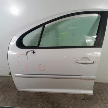 Porte avant gauche PEUGEOT 207 Photo n°1