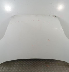 Capot FIAT DOBLO 2 Photo n°1