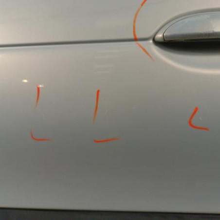 Porte avant gauche RENAULT MEGANE 1