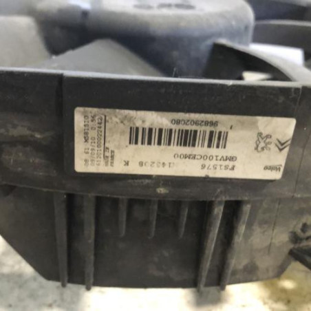 Moto ventilateur radiateur CITROEN C3 2