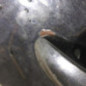 Porte avant gauche VOLKSWAGEN NEW BEETLE 1