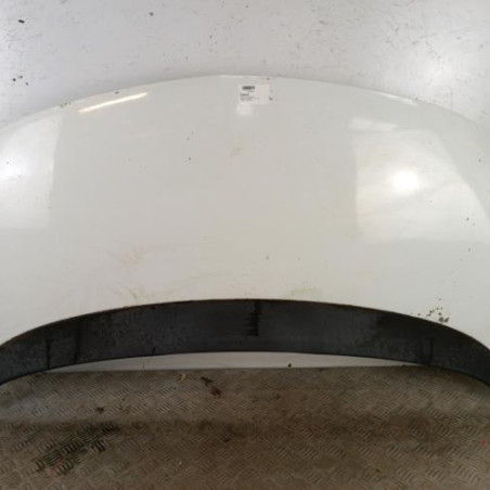 Capot OPEL MERIVA B Photo n°1