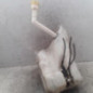 Vase de lave glace RENAULT MEGANE 3