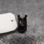 Bouton de warning PEUGEOT 106