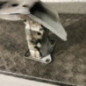 Renfort pare choc avant (traverse) FORD C-MAX 2