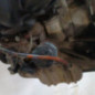 Moteur FORD FUSION