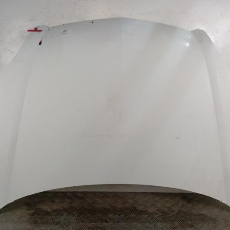 Capot RENAULT KANGOO 1 Photo n°1