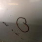 Porte avant gauche RENAULT CLIO 1