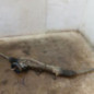 Cremaillere assistee PEUGEOT 206+