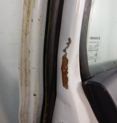 Porte arriere gauche SUZUKI CELERIO Photo n°5