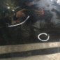 Porte avant gauche FORD FIESTA 6