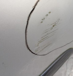 Porte avant droit SKODA ROOMSTER Photo n°4