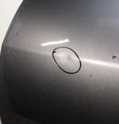 Porte arriere gauche RENAULT MEGANE 3 Photo n°5
