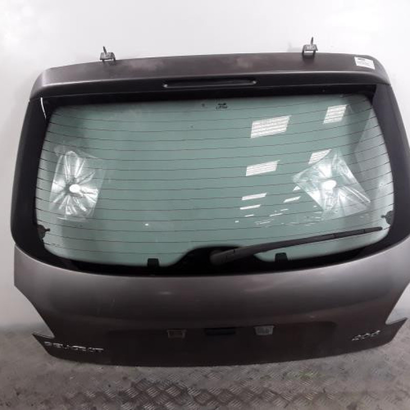 Malle/Hayon arriere PEUGEOT 206 Malle/Hayon arriere PEUGEOT 206