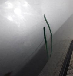 Porte arriere gauche DACIA LOGAN MCV 1 Photo n°4
