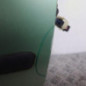 Porte avant droit PEUGEOT 307