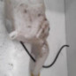 Vase de lave glace OPEL MERIVA A