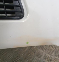 Capot FIAT SCUDO 2 Photo n°4