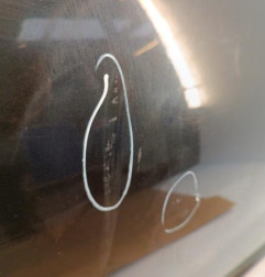 Porte avant droit DACIA SANDERO 1