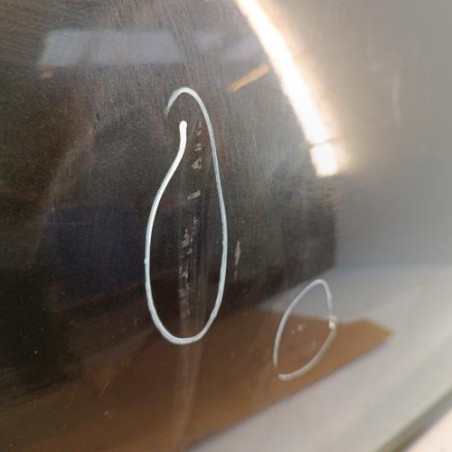 Porte avant droit DACIA SANDERO 1