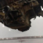 Moteur LAND ROVER RANGE ROVER 3