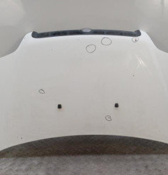 Capot FIAT DOBLO 1 Photo n°1