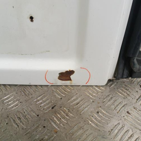 Porte de coffre gauche FIAT SCUDO 2