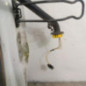 Porte de coffre gauche FIAT SCUDO 2