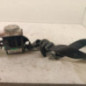 Ceinture avant droit CITROEN C4 2