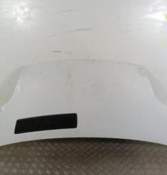Capot RENAULT TRAFIC 2 Photo n°1