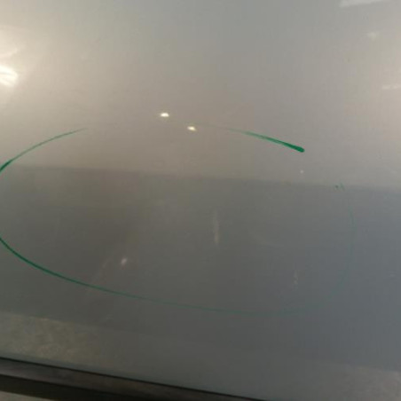 Porte arriere gauche RENAULT SCENIC 2