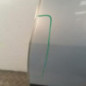 Porte arriere gauche RENAULT SCENIC 2