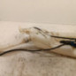Vase de lave glace RENAULT CLIO 3