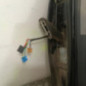 Porte arriere droit VOLKSWAGEN POLO 4