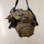 Boite de vitesses CITROEN C4 2