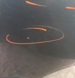 Porte arriere gauche NISSAN NOTE 1 Photo n°4