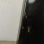 Capot RENAULT TWINGO 1
