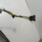 Malle/Hayon arriere CITROEN C4 PICASSO 1