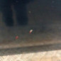 Porte arriere gauche ROVER 75