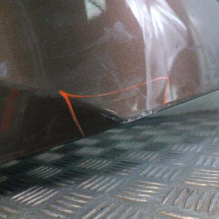 Porte arriere gauche CITROEN DS4
