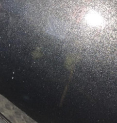Porte arriere gauche CITROEN XSARA PICASSO Photo n°4