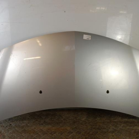 Capot RENAULT CLIO 3 Photo n°1