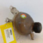 Vase d'expansion PEUGEOT 2008 1