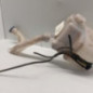 Vase de lave glace PEUGEOT 207