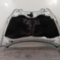 Capot SEAT ALTEA