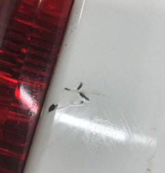 Pare choc arriere PEUGEOT 208 1 Photo n°4